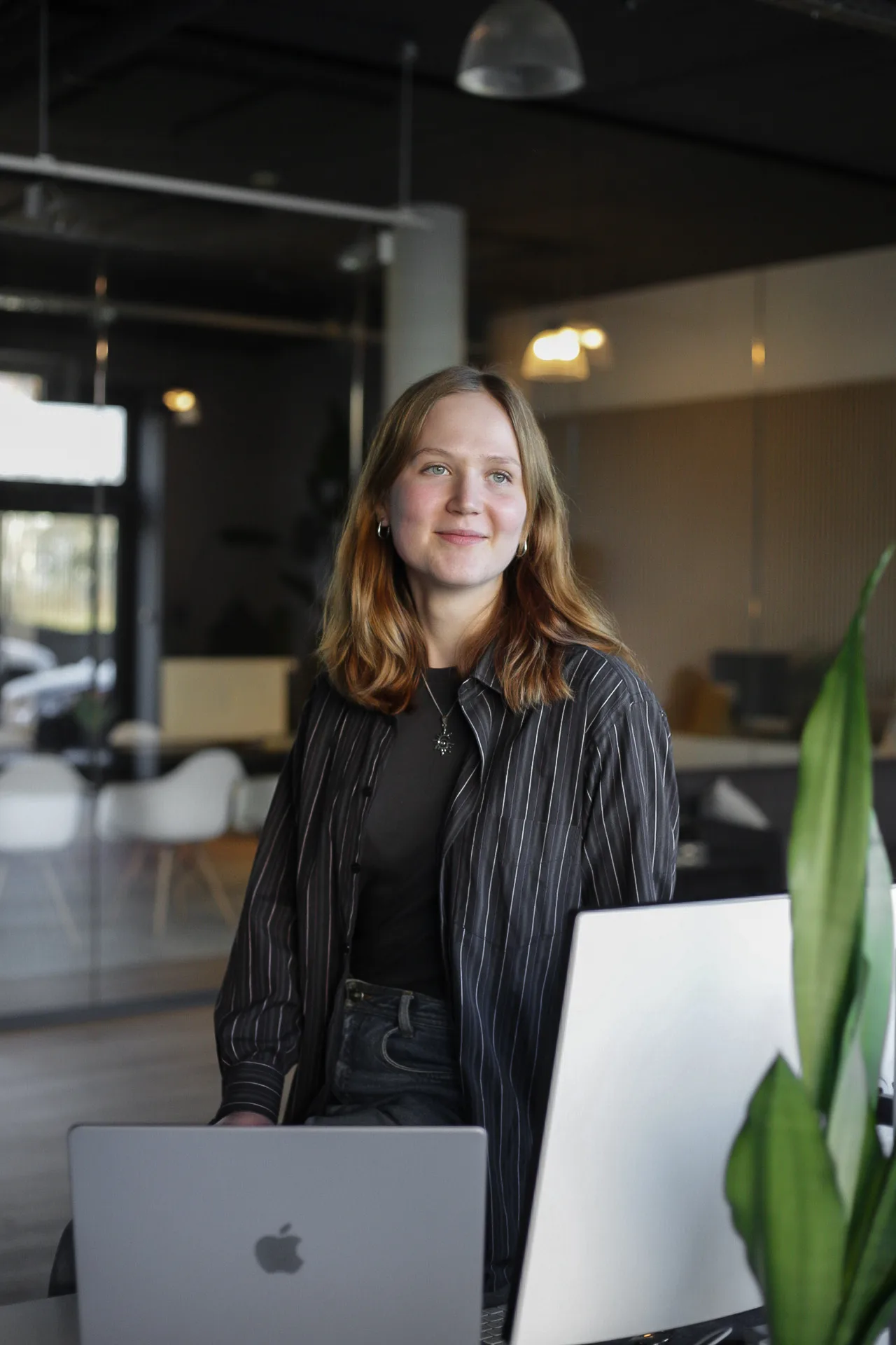 new office, Corporate Design Agentur Frankfurt, Brand Design, Branding, Grafikdesign